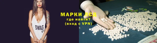 прущие грибы Красноперекопск