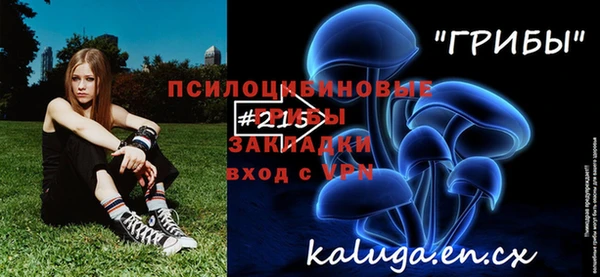 хмурый Корсаков