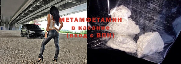 прущие грибы Красноперекопск