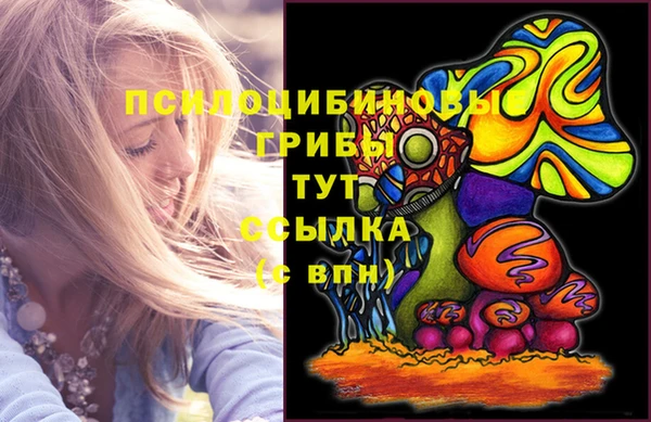 амф Коряжма