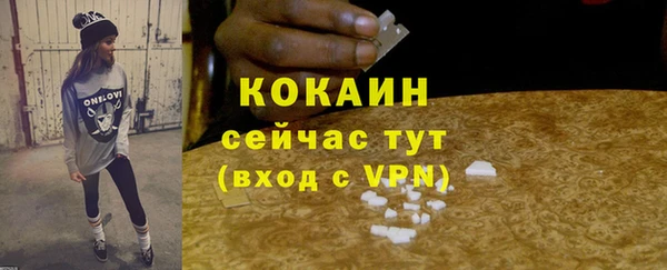 амф Коряжма